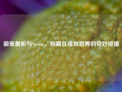 徽章展柜与Steam，收藏在虚拟世界的奇妙碰撞