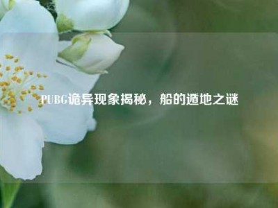PUBG诡异现象揭秘，船的遁地之谜