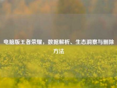 电脑版王者荣耀，数据解析、生态洞察与删除方法