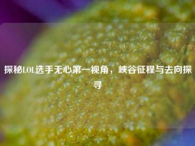 探秘LOL选手无心第一视角，峡谷征程与去向探寻