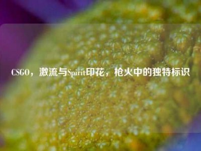 CSGO，激流与Spirit印花，枪火中的独特标识