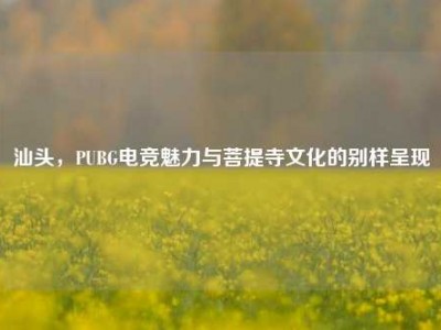 汕头，PUBG电竞魅力与菩提寺文化的别样呈现