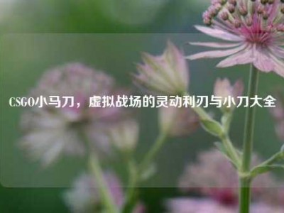 CSGO小马刀，虚拟战场的灵动利刃与小刀大全