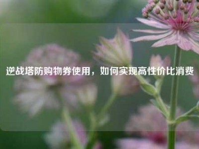 逆战塔防购物券使用，如何实现高性价比消费