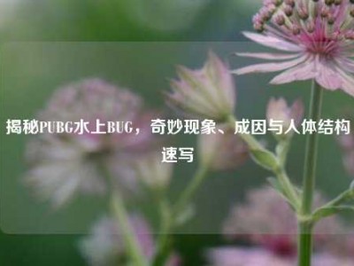 揭秘PUBG水上BUG，奇妙现象、成因与人体结构速写