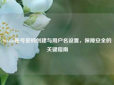 Steam账号密码创建与用户名设置，保障安全的关键指南