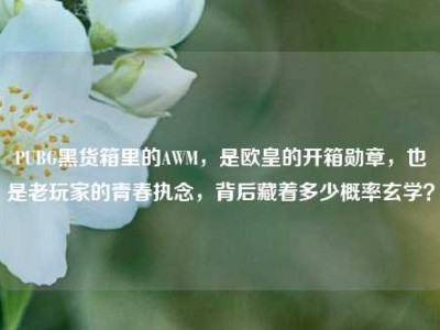 PUBG黑货箱里的AWM，是欧皇的开箱勋章，也是老玩家的青春执念，背后藏着多少概率玄学？