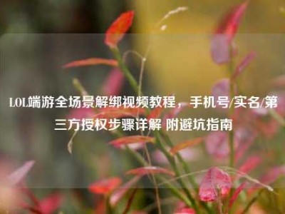 LOL端游全场景解绑视频教程，手机号/实名/第三方授权步骤详解 附避坑指南