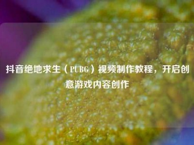 抖音绝地求生（PUBG）视频制作教程，开启创意游戏内容创作