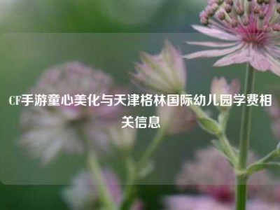 CF手游童心美化与天津格林国际幼儿园学费相关信息