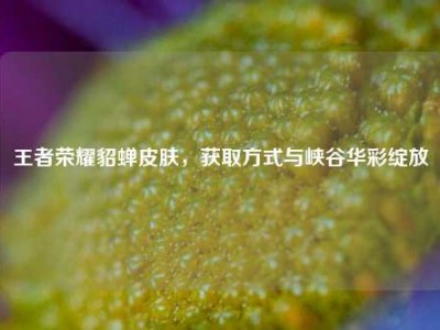 王者荣耀貂蝉皮肤，获取方式与峡谷华彩绽放