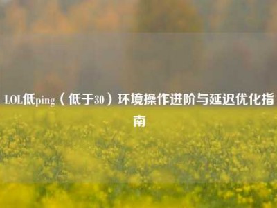 LOL低ping（低于30）环境操作进阶与延迟优化指南