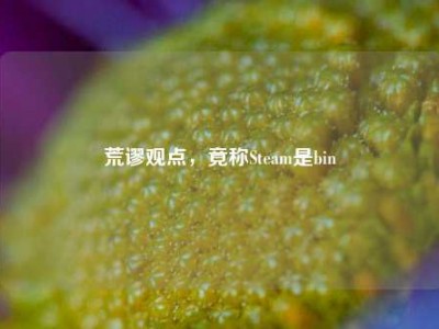 荒谬观点，竟称Steam是bin