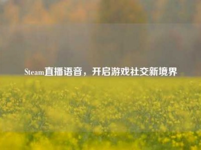Steam直播语音，开启游戏社交新境界