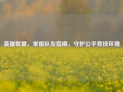 英雄联盟，举报队友指南，守护公平竞技环境