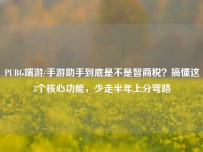 PUBG端游/手游助手到底是不是智商税？搞懂这3个核心功能，少走半年上分弯路