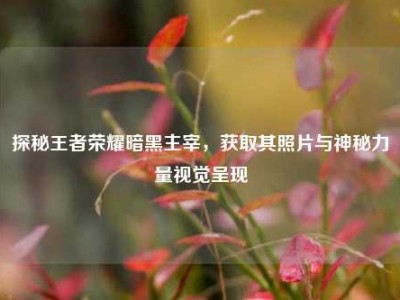 探秘王者荣耀暗黑主宰，获取其照片与神秘力量视觉呈现