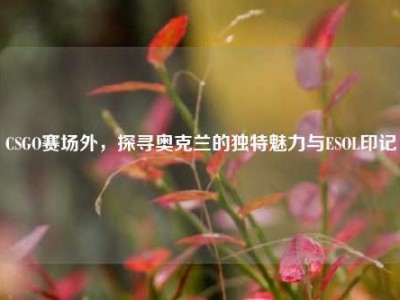 CSGO赛场外，探寻奥克兰的独特魅力与ESOL印记