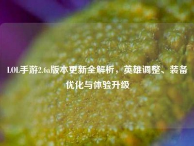 LOL手游2.6a版本更新全解析，英雄调整、装备优化与体验升级