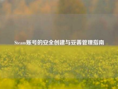 Steam账号的安全创建与妥善管理指南