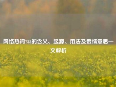 网络热词755的含义、起源、用法及爱情意思一文解析