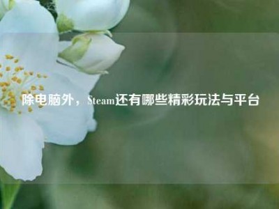 除电脑外，Steam还有哪些精彩玩法与平台