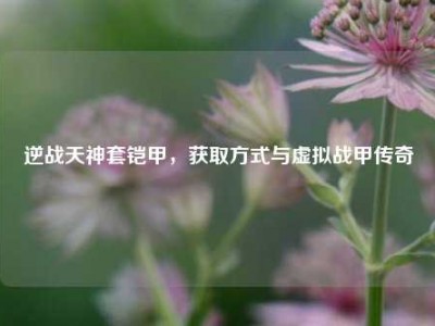 逆战天神套铠甲，获取方式与虚拟战甲传奇