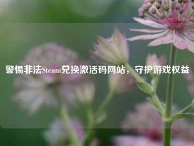 警惕非法Steam兑换激活码网站，守护游戏权益