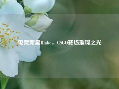 电竞新星Blake，CSGO赛场璀璨之光