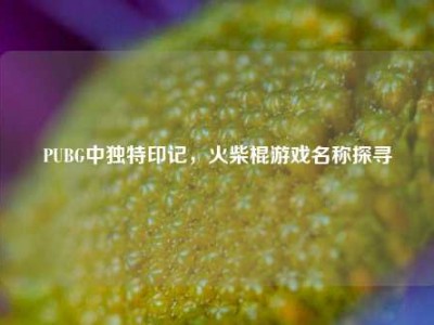 PUBG中独特印记，火柴棍游戏名称探寻