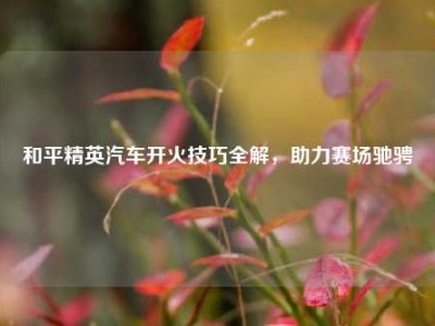 和平精英汽车开火技巧全解，助力赛场驰骋