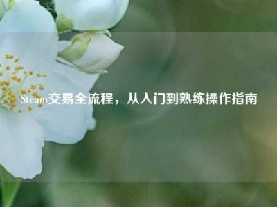 Steam交易全流程，从入门到熟练操作指南