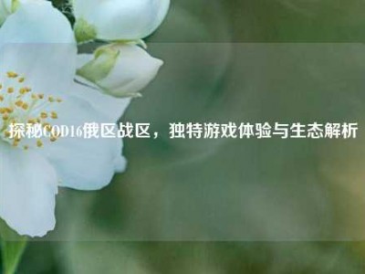 探秘COD16俄区战区，独特游戏体验与生态解析