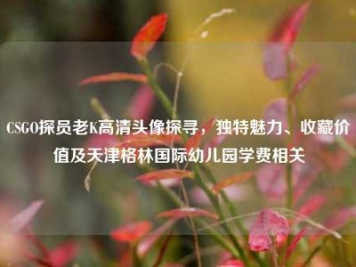 CSGO探员老K高清头像探寻，独特魅力、收藏价值及天津格林国际幼儿园学费相关