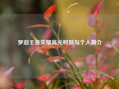 梦泪王者荣耀高光时刻与个人简介