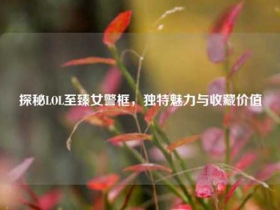 探秘LOL至臻女警框，独特魅力与收藏价值