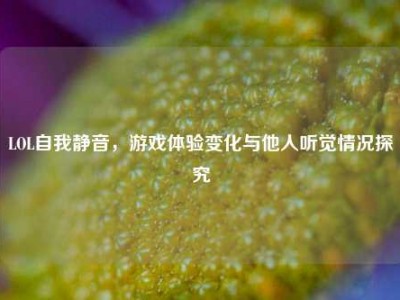 LOL自我静音，游戏体验变化与他人听觉情况探究