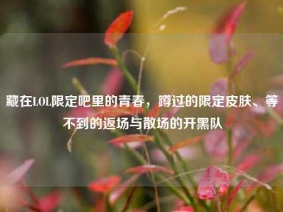 藏在LOL限定吧里的青春，蹲过的限定皮肤、等不到的返场与散场的开黑队