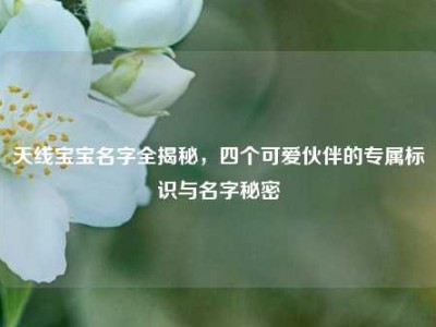 天线宝宝名字全揭秘，四个可爱伙伴的专属标识与名字秘密