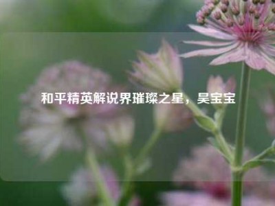 和平精英解说界璀璨之星，昊宝宝