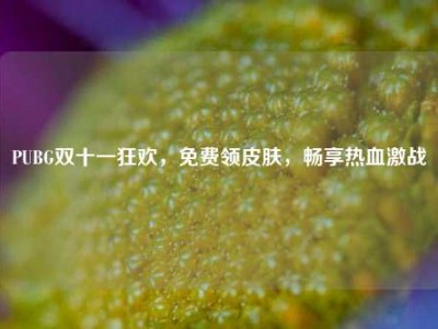 PUBG双十一狂欢，免费领皮肤，畅享热血激战