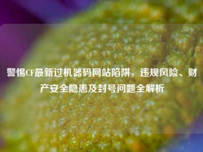 警惕CF最新过机器码网站陷阱，违规风险、财产安全隐患及封号问题全解析