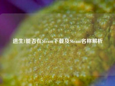 逃生1能否在Steam下载及Steam名称解析