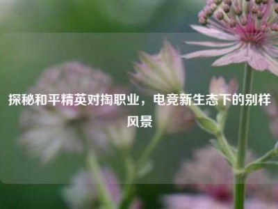探秘和平精英对掏职业，电竞新生态下的别样风景