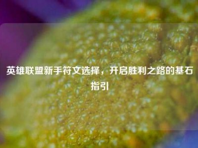 英雄联盟新手符文选择，开启胜利之路的基石指引