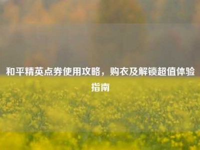 和平精英点券使用攻略，购衣及解锁超值体验指南