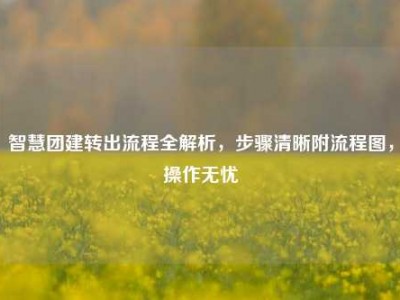 智慧团建转出流程全解析，步骤清晰附流程图，操作无忧