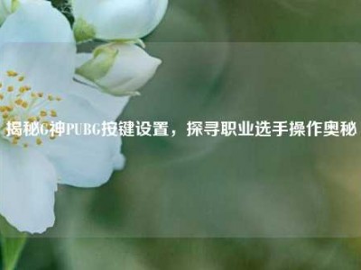 揭秘G神PUBG按键设置，探寻职业选手操作奥秘