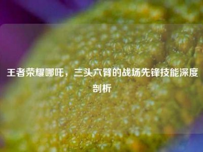 王者荣耀哪吒，三头六臂的战场先锋技能深度剖析