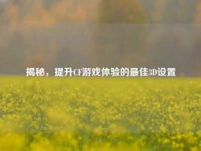 揭秘，提升CF游戏体验的最佳3D设置